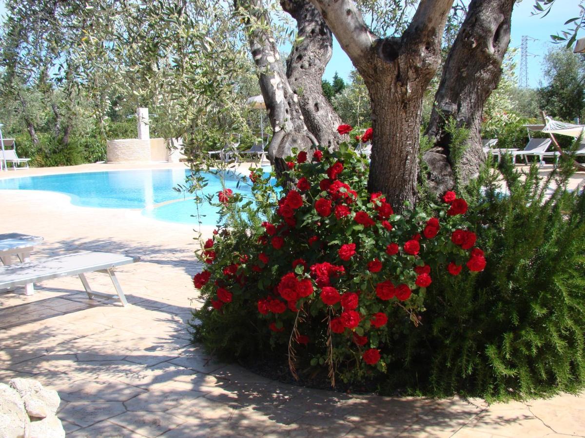 Agriturismo I Tesori Del Sud Vieste, Puglia Ngoại thất bức ảnh